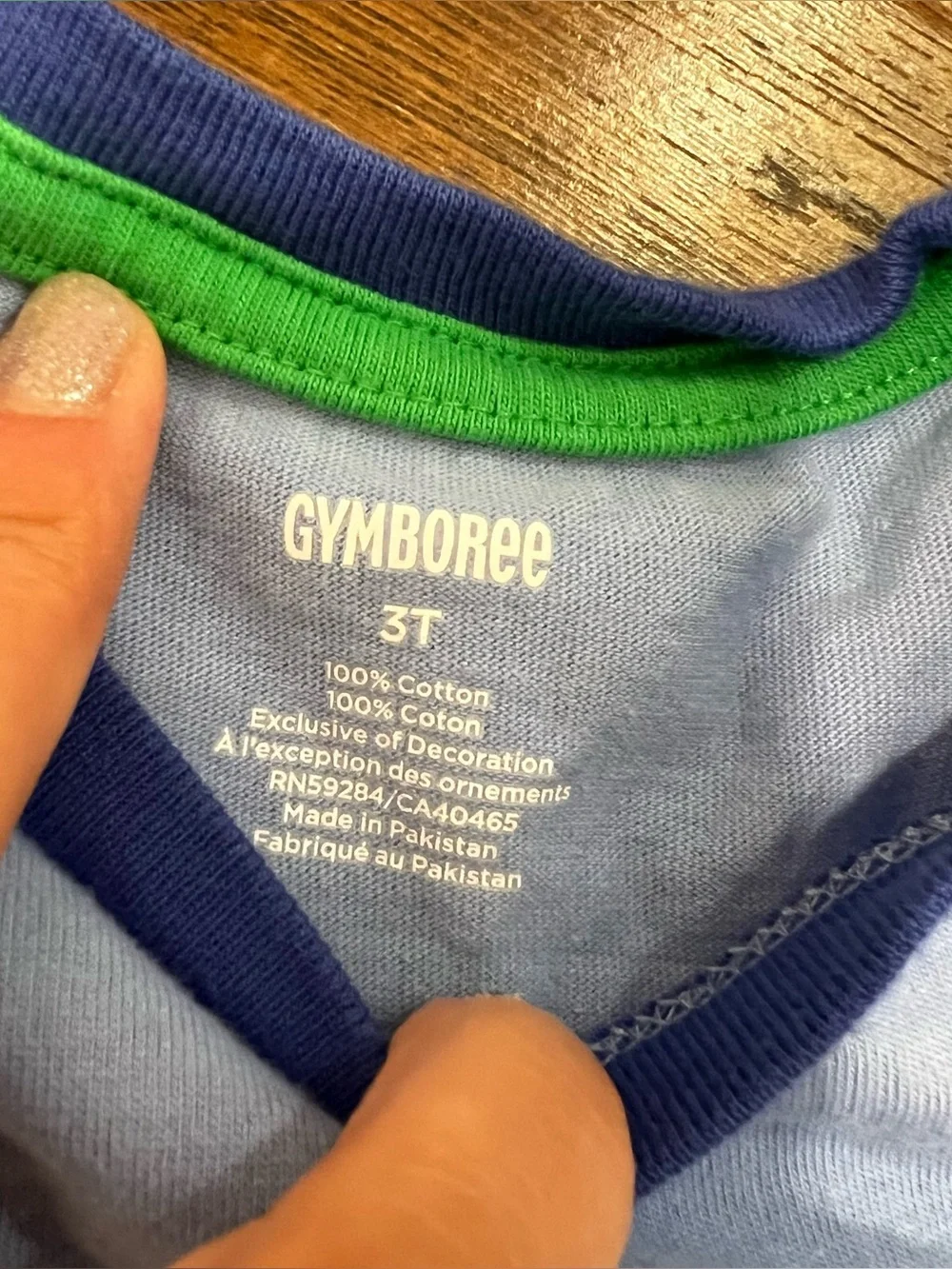 Gymboree dinosaur birthday T shirt